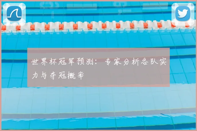 世界杯冠军预测:专家分析各队实力与夺冠概率