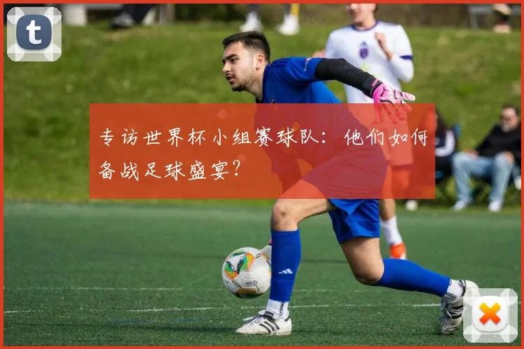 专访世界杯小组赛球队:他们如何备战足球盛宴?