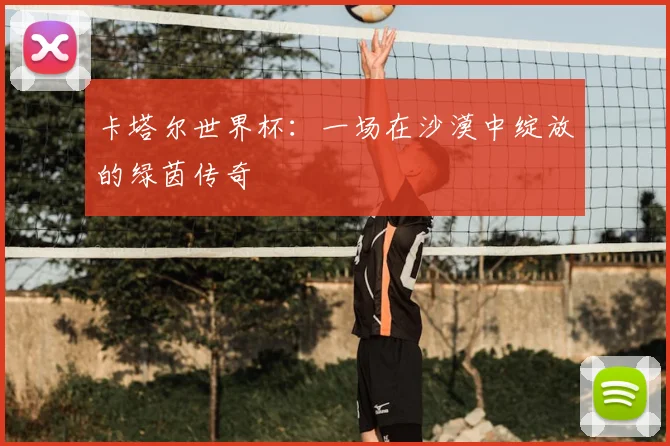 卡塔尔世界杯：一场在沙漠中绽放的绿茵传奇