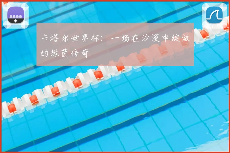 卡塔尔世界杯:一场在沙漠中绽放的绿茵传奇