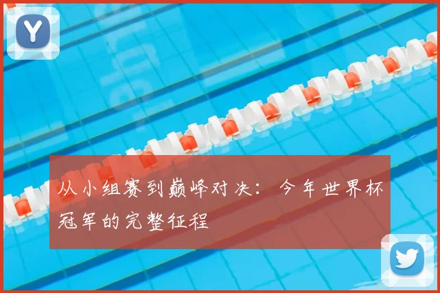 从小组赛到巅峰对决:今年世界杯冠军的完整征程