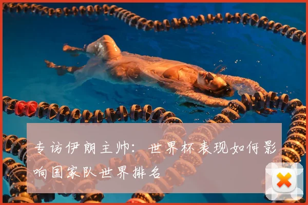 专访伊朗主帅：世界杯表现如何影响国家队世界排名