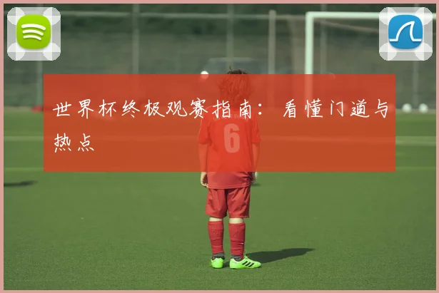 世界杯终极观赛指南:看懂门道与热点