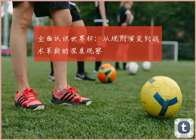 全面认识世界杯:从规则演变到战术革新的深度观察