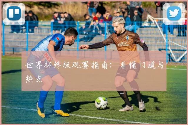 世界杯终极观赛指南:看懂门道与热点