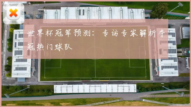 世界杯冠军预测：专访专家解析夺冠热门球队