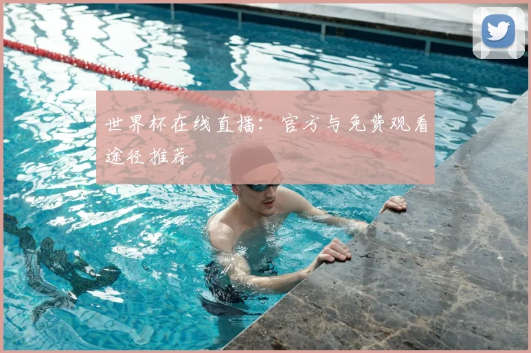 世界杯在线直播:官方与免费观看途径推荐