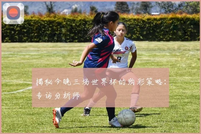 揭秘今晚三场世界杯的购彩策略：专访分析师